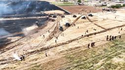 Şanlıurfa’da anız yangınları