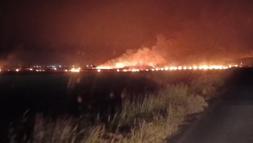 Silopi’de anız yangınında 300 gönüm arazi zarar gördü