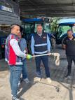 Vinçle kaldırılan otomobilin motor bölümündeki yılan çıkarıldı