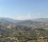 Aydın'da tarım arazisinde yangın (2)