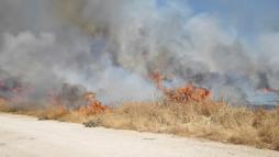Nusaybin'de anız yangını söndürüldü