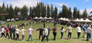'Karnavas Dut Pekmezi Festivali renkli görüntülere sahne oldu