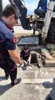 Mazgala düşen kedi itfaiye tarafından kurtarıldı