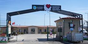 Tekirdağ'da sahipsiz 5 bini aşkın hayvana bakım ve tedavi uygulandı