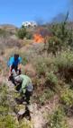 Bodrum'da otluk ve makilik alanda yangın (4)