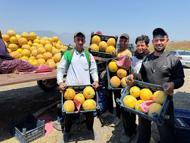 Hatay’da kavun hasadı başladı; tarlada kilosu 22 TL