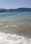 Bodrum'da deniz kirliliği; soruşturma başlatıldı