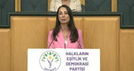 DEM Parti'li Hatimoğulları: Temmuz ayında çerçeve yasayı çıkaralım
