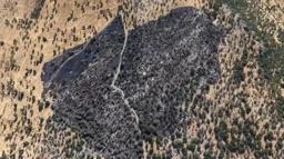 Diyarbakır’da örtü yangınında 50 dönümlük alan zarar gördü; Tahribat dronla görüntülendi
