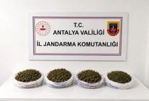 Alanya'da uyuşturucu operasyonu