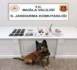 Muğla'da uyuşturucu operasyonlarında 5 tutuklama