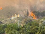 Muğla'da orman yangını (3)