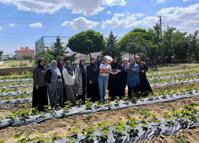 ADEM projesiyle çilek üretimi