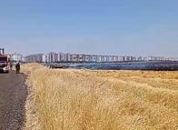 Diyarbakır’da anız yangını; 50 dönüm alan zarar gördü
