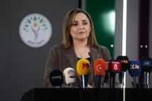 DEM Parti'li Doğan: Çerçeve yasa taslağı hazırlıkları için son aşamadayız