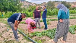 Hastalık ve zararlı takip çalışmaları