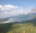 Muğla'da tarım arazisinde çıkan yangın ormana sıçradı