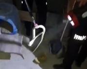 Evin bodrumuna giren yılan itfaiye tarafından yakalandı
