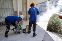 Vektörle mücadele ekipleri bilgi ve deneyimlerini geliştiriyor