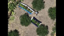 Kadirli'de uyuşturucu operasyonu: 4 gözaltı