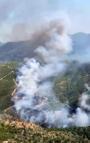 Alanya'da orman yangını