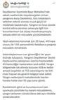 Muğla’da orman yangını (8)