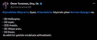 Çanakkale'de orman yangını (2)