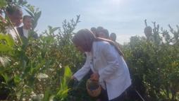 Bakan Göktaş açıkladı, şehit aileleri ve gazilere yönelik haklar genişliyor (2)