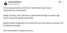 Orman yangınından etkilenen 5 ilde hasar tespit çalışmaları tamamlandı