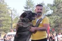 Sivas'ta Kangal köpekleri podyuma çıktı