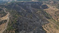 Manisa'daki orman yangınında zarar gören alanlar dronla görüntülendi