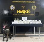 Şırnak’ta kaçakçılık ve uyuşturucu operasyonları: 1 tutuklama