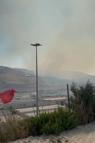 Hatay'da orman yangını
