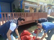 İzmir’de yasa dışı yollarla avlanılan 560 kilo kara midyeye el konuldu
