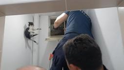 Amasya’da kurtarılan kedi, itfaiyecileri peşinden koşturdu
