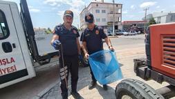 İş yerinde görülen yılanı itfaiye yakalayıp, doğal yaşam alanına bıraktı