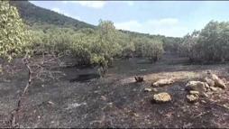 Ormanlık alanda çıkan örtü yangını söndürüldü