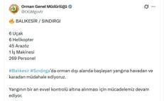 Balıkesir'de kamyondaki yangın ormana sıçradı (2)