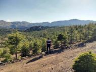 Muğla'da kıvılcım oluşturan makinelere yangın tedbiri