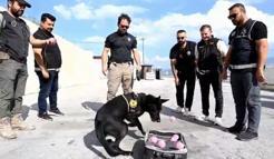 Emekli olan narkotik köpeği Naz'a duygulandıran veda