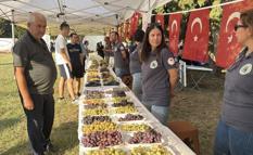 Tekirdağ'da 'Bağ Bozumu Şenliği' düzenlendi