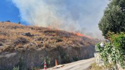 Bodrum'da maki yangını; alevler 1 saatte kontrol altına alındı