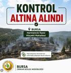 Bursa'da orman yangını (3)