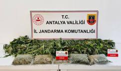 Uyuşturucuya 1 gözaltı