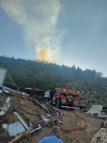 Hatay'da orman yangını