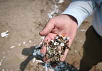 Akdeniz’de mikroplastik tehdidi artıyor
