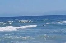 Tekirdağ’da denizde boğulma tehlikesi geçiren 4 arkadaşı çevredekiler kurtardı