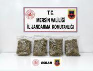 Mersin’de 2 kilo esrar ele geçirildi