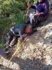 Kuşburnu toplarken 30 metreden yuvarlanıp yaralandı