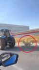Köpeği traktöre iple bağlayıp koşturdu